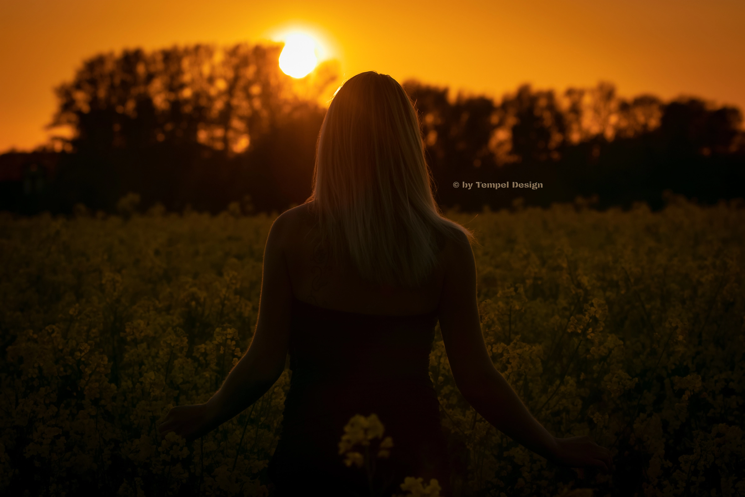 Tempel Design Fotografie - Shooting Rapsfeld Raps Tempel Design 1 Web